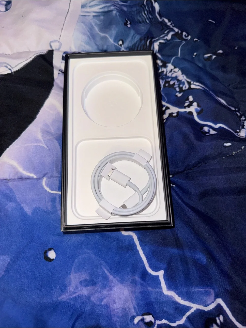 2 Apple White Lightning to USB Charging Cable